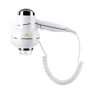 Secador de pelo plegable de secado r&aacute;pido de alta potencia, pl&aacute;stico Abs, 2000w, Motor de CC, montado en la pared, con boquilla concentradora, venta al por mayor