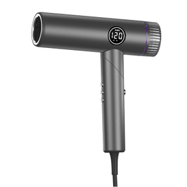 S&egrave;che-cheveux pliable &agrave; grande vitesse sans brosse de s&egrave;che-cheveux de C.C d'ion n&eacute;gatif de l'affichage num&eacute;rique 2000w