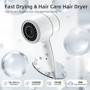 Secador de pelo dom&eacute;stico de iones negativos SG-06A