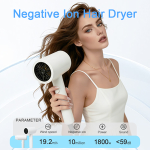 M&aacute;y sấy t&oacute;c ion &acirc;m WT-1200